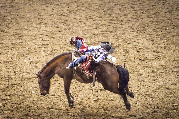 National Western Stock Show Rodeo