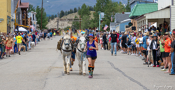 Fairplay Burro Days