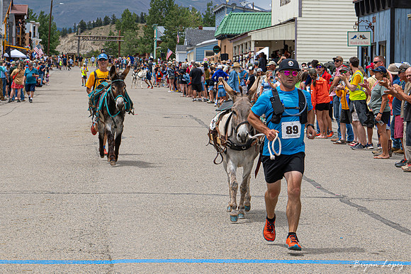 Fairplay Burro Days