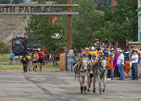 Fairplay Burro Days