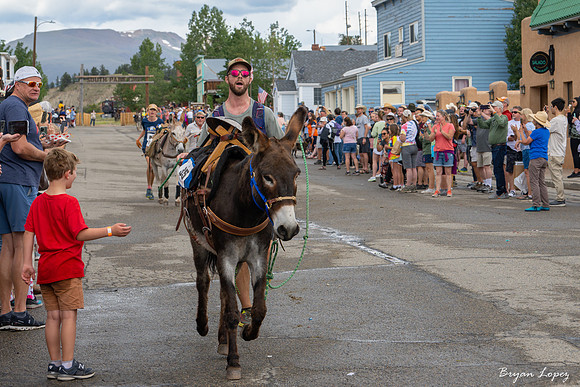 Fairplay Burro Days