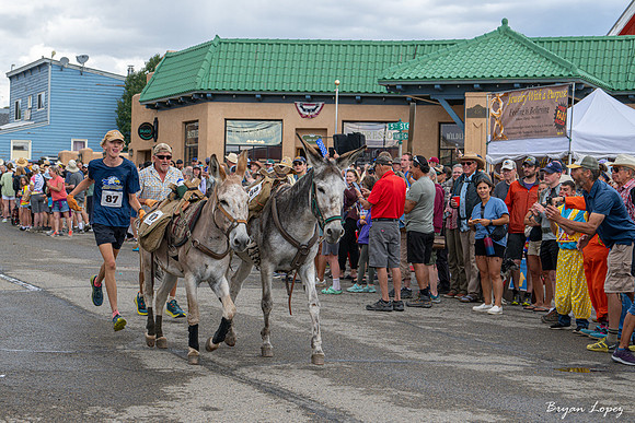 Fairplay Burro Days